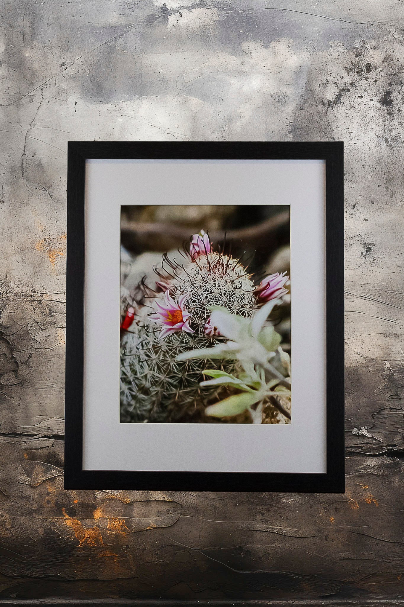 Mini Barrel Cactus 8x10 Framed