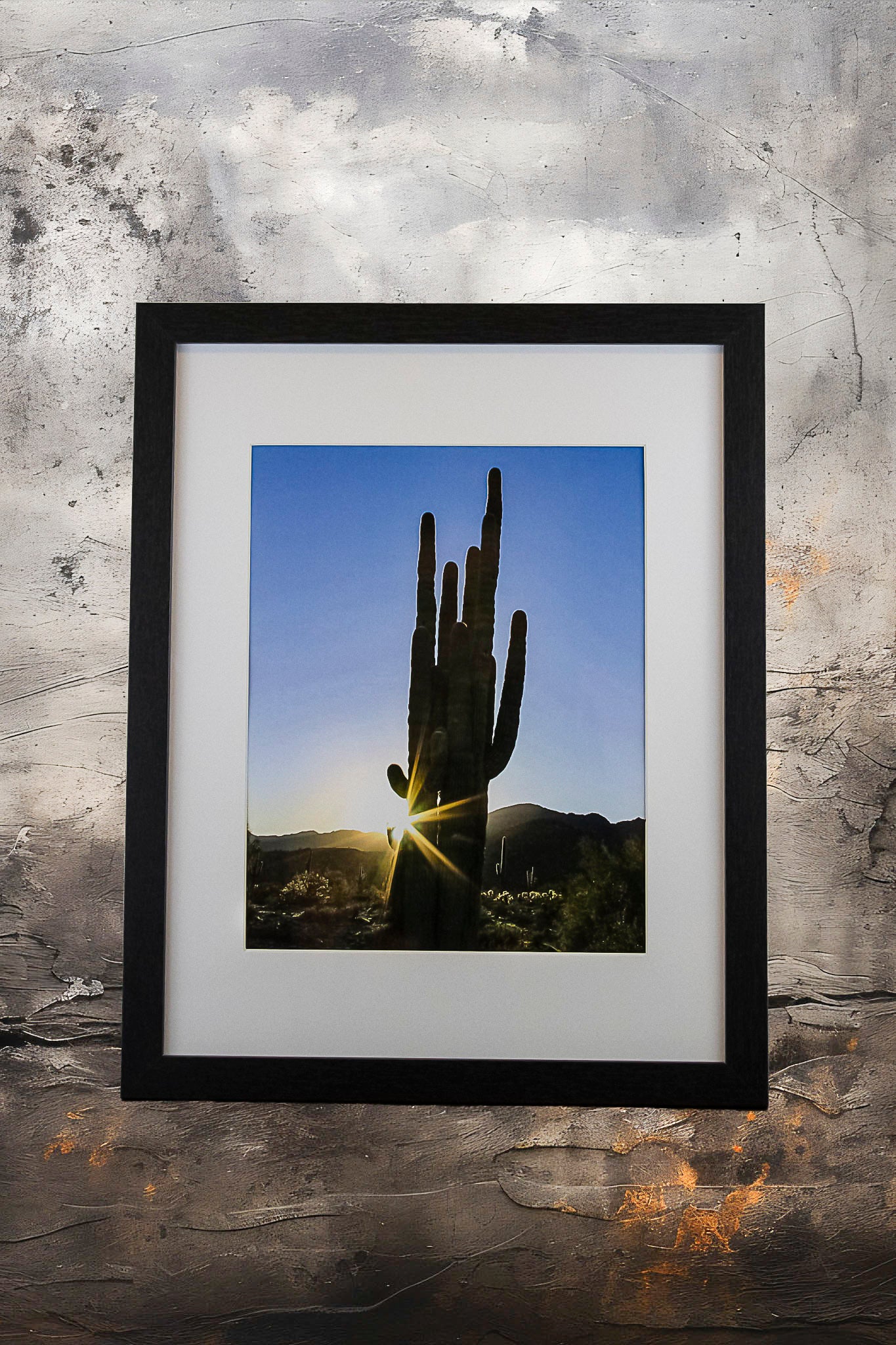 Cactus Flare 8x10 Framed