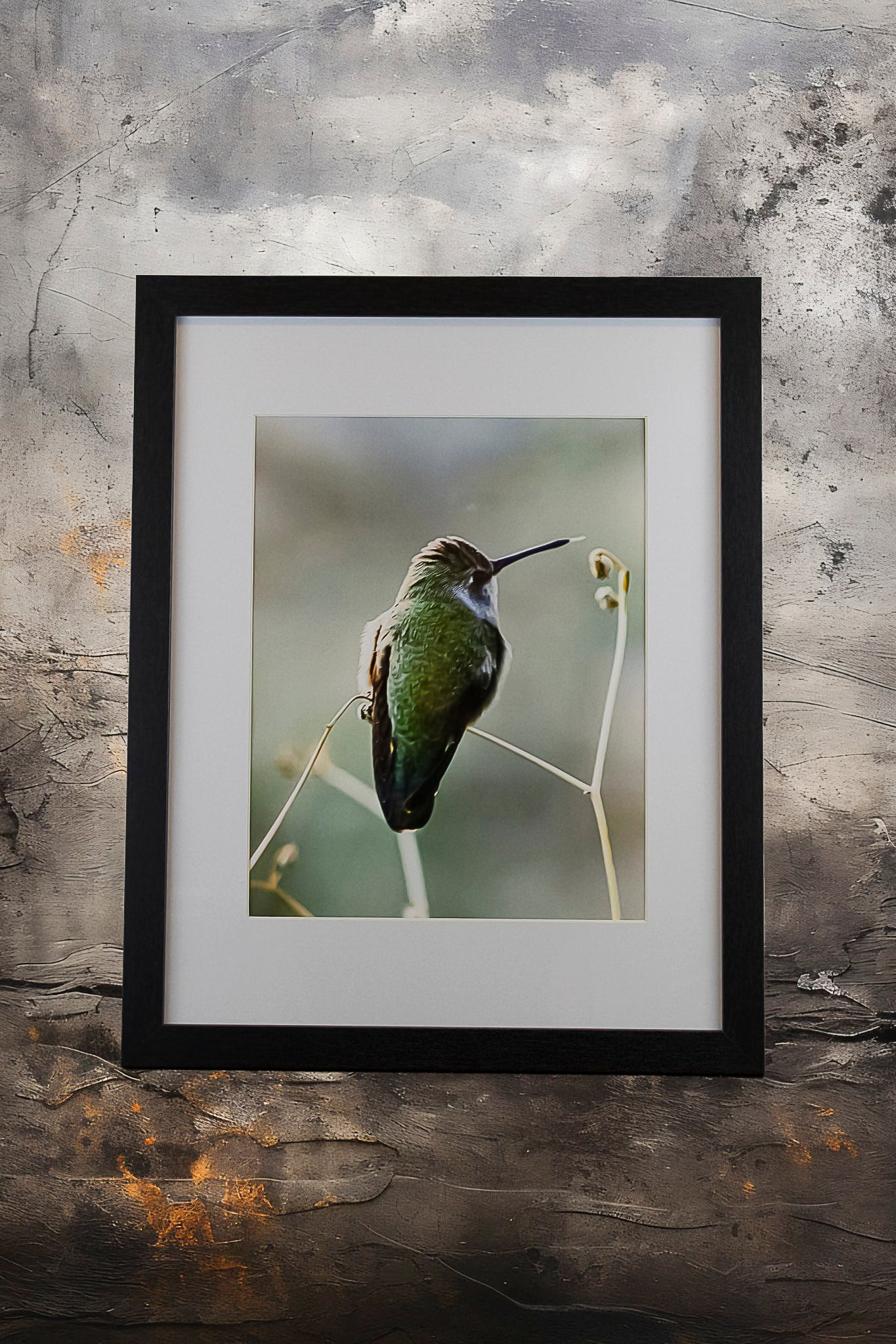 Hummingbird 8x10 Framed