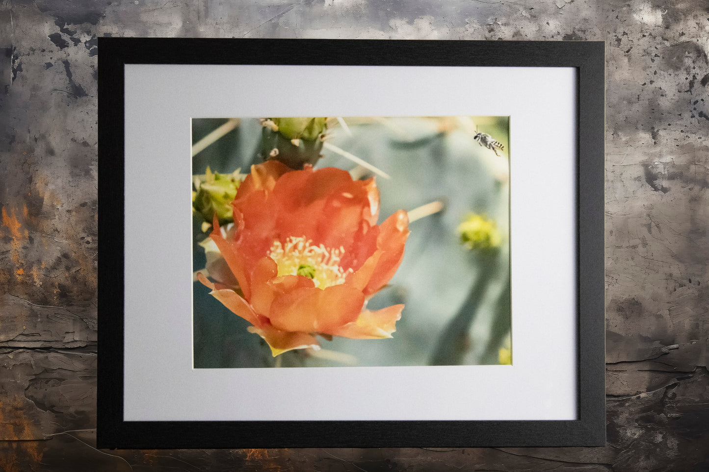 Prickly Pear Blossoms 6 11x14 Framed